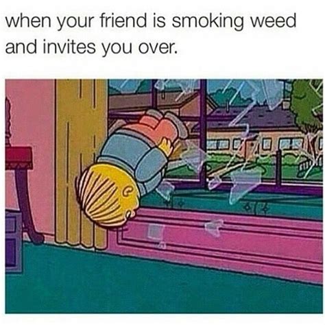 The Best Weed Memes: A Stoner's Collection