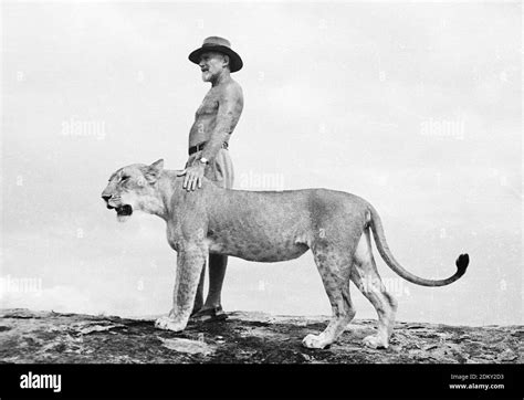 George Adamson standing on a rock outcrop with Elsa the lioness. One of a series of original ...