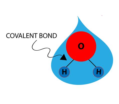 What is Polar Covalent Bond