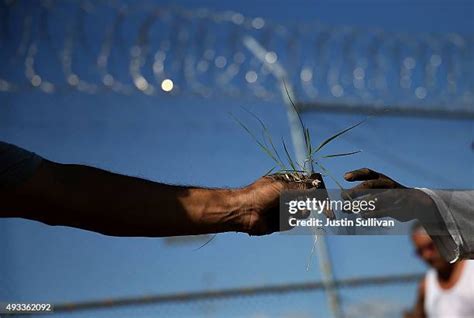 California State Prison Solano Photos and Premium High Res Pictures ...