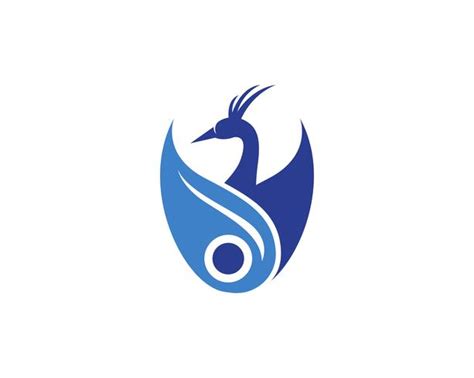 peacock head logo and symbols template icon app 579027 Vector Art at Vecteezy