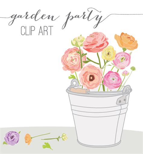 Ranunculus Vector - Garden Party Clip Art