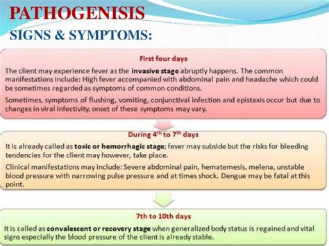 Dengue Hemorrhagic Fever Symptoms