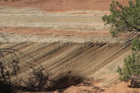 Cross-Bedded Sandstones: Windblown or Water Carried? | Alpha Omega Institute