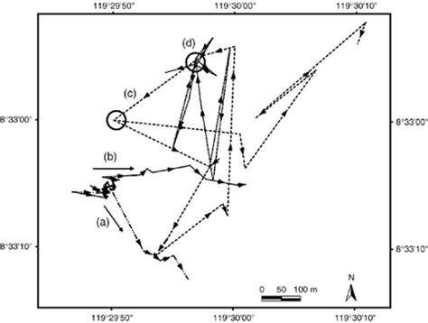 Examples of the movement pattern of hatchling (a and b) and juvenile (c... | Download Scientific ...