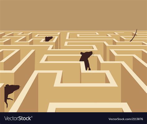 Rat maze Royalty Free Vector Image - VectorStock