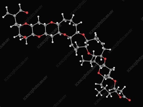 Brevetoxin neurotoxin molecule - Stock Image - F004/5575 - Science ...