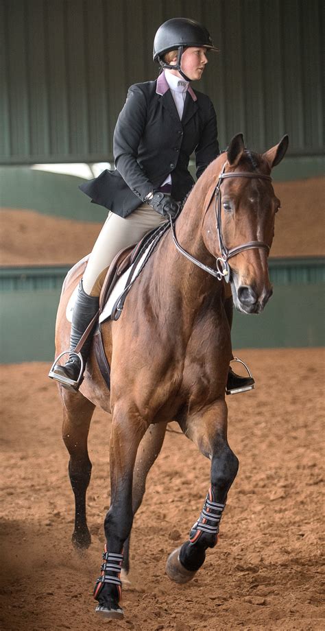 How Equestrian Competition Works - TCU Magazine