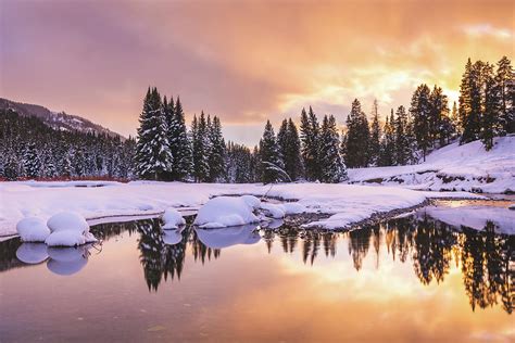 Winter in Yellowstone Photograph by Matthew Alberts - Fine Art America