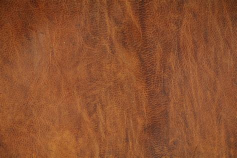 Free photo: Cow leather texture - Animal, Brown, Cow - Free Download ...