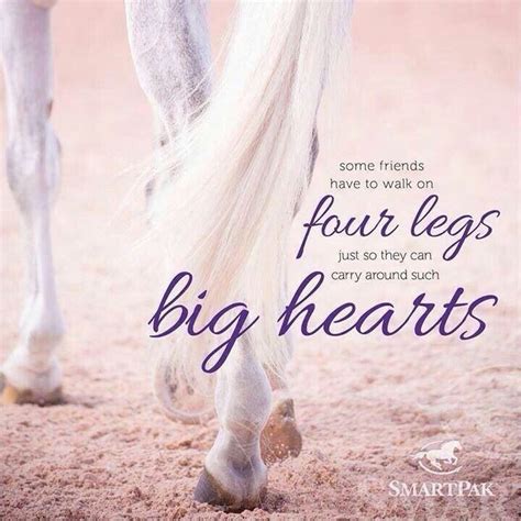 Inspirational Horse Quotes | Love for Horses