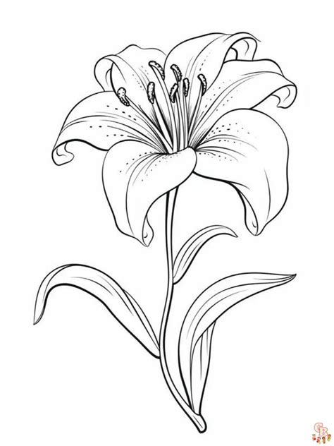 Daisy Flower Garden Journey Coloring Pages | Best Flower Site