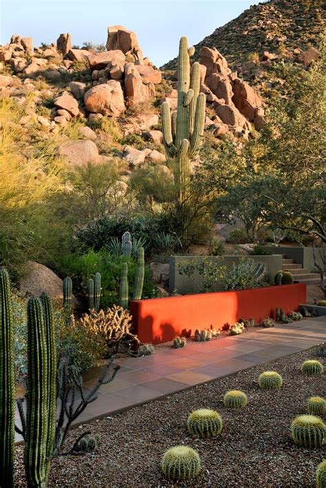 Stunning desert garden ideas for home yard 31 - Rockindeco | Desert landscaping, Desert garden ...