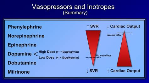 Shock: Lesson 5 - Pressors - YouTube