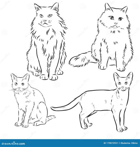 Cats Set, Vector Illustration, Hand-drawn Cute Fluffy Cats. Domestic Cat Set Vector Sketch ...