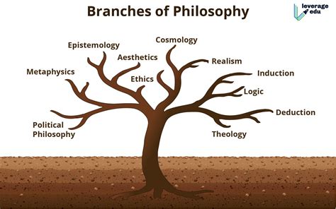 Main Branches of Philosophy: Overview, Download PDF | Leverage Edu