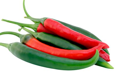 Scientific Name of Chilli (चिल्ली), Red Chilli (रैड चिल्ली) | Mirch ...