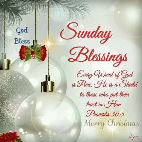 Christmas Blessings Quotes - ShortQuotes.cc