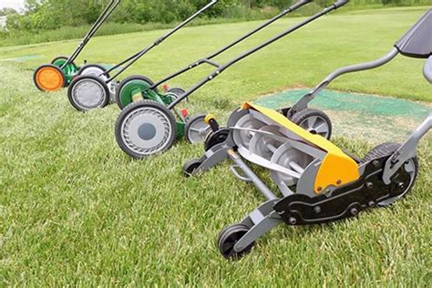 Best Reel Mower For Tall Grass