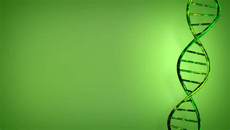 3D Animation Of A DNA With Green Screen. Seamless Looping HD Video Clip Stock Footage Video ...