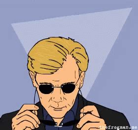 Horatio Caine Memes GIFs | Tenor