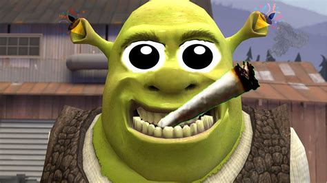 Download Meme Shrek Funny Face PNG & GIF BASE