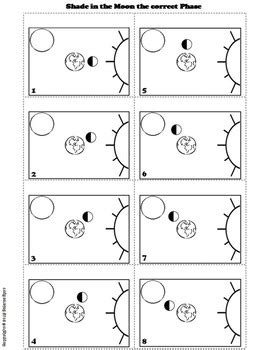 Phases of the Moon Flip Book by Science Spot | Teachers Pay Teachers