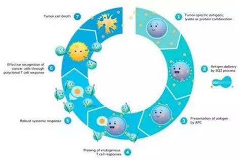 An Innovative Method to Nongenetic T-cell Immunotherapy - QS Study