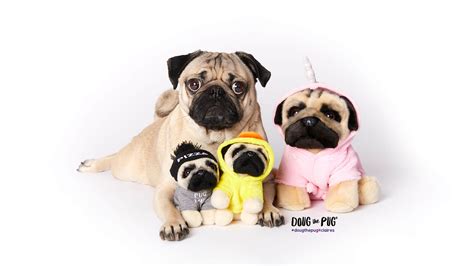 Doug The Pug© | Claire's US