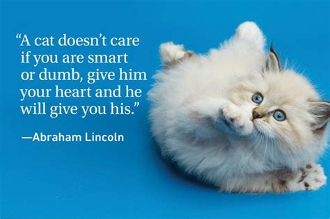 Cat Quotes Every Cat Owner Can Appreciate | Reader's Digest