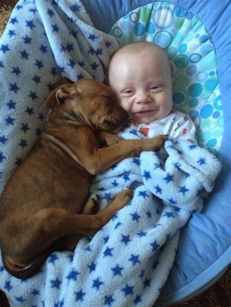 The Funny Baby With Dog - Fun Guru to