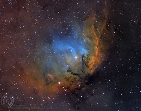 Tulip Nebula – By Bill Snyder