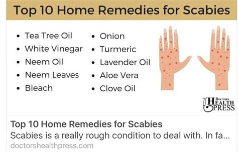 Top 10 Home Remedies for Scabies Scabies are very CONTAGIOUS ...