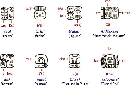 L'écriture Maya déchiffrée - Intox.tv | Mayan glyphs, Mayan symbols ...