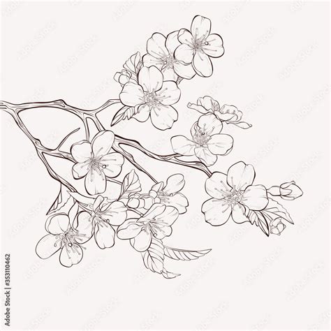 Blooming tree with flowers. Sketch Floral Botany Collection. Apple tree ...