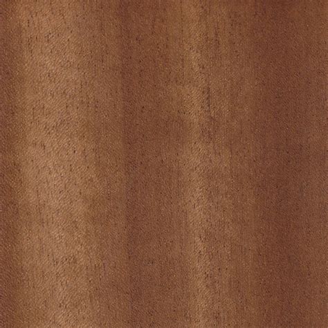 African Walnut | The Wood Database - Lumber Identification (Hardwood)