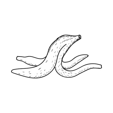 Retro Ink Hand Drawn Sketch of Banana Peel 34920850 Vector Art at Vecteezy