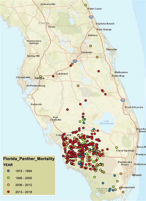 The Plight of Florida Panthers | Blog | Nature | PBS