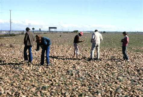 Archaeologists at an Acheulean surface site near the Still… | Flickr