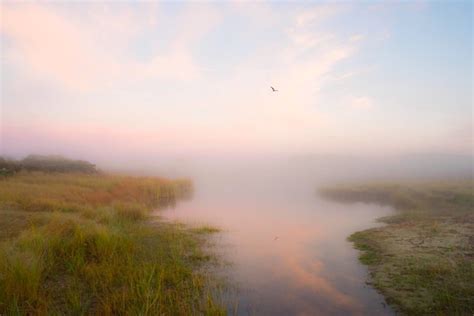 Nantucket Friday Favorite Finds VI | A Weekend of Art and Antiques - Quintessence