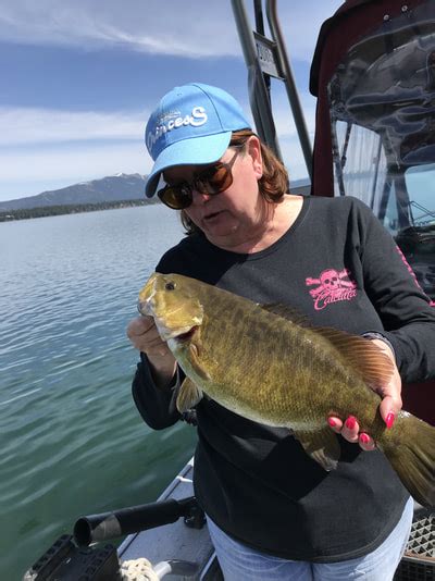 Lake Almanor Fishing Report - Big Daddy's Guide Service