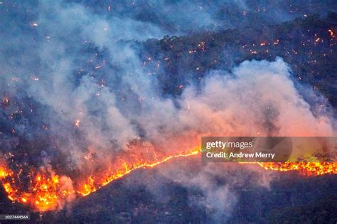 Fire Front Wall Of Fire Line Of Fire Forest Fire Bushfire In The Valley ...