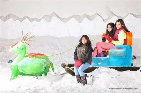 Snow City Bangalore – The Winter Playground In Bangalore - Treebo Blog