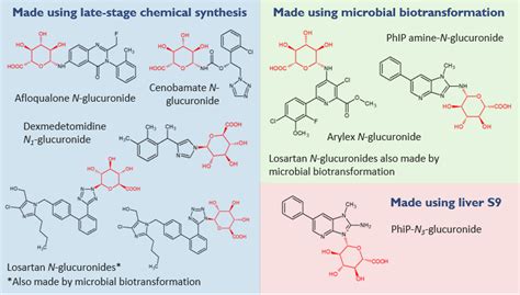 Late-stage Synthesis of N-glucuronide Metabolites - Hypha Discovery ...