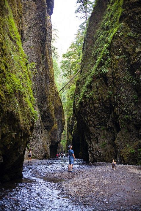 5 Must-See Spots along the Columbia River Gorge | Columbia river gorge oregon, Columbia gorge ...