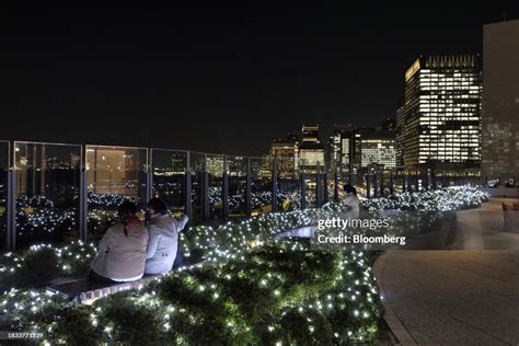 Park View Garden decorated with Christmas lights at Tokyo Midtown ...