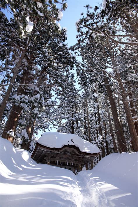 Japanese Shinto Shrine Gate located in snow covered Mt. Daisen, Tottori, Japan. This gate ...