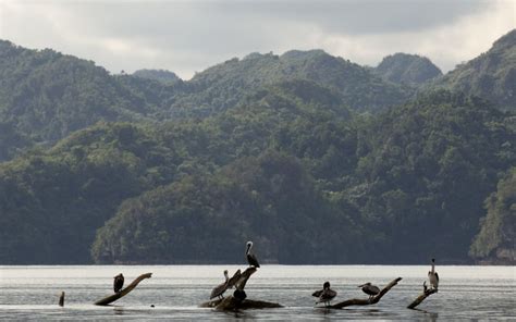 Dominican Republic – Samaná Bay | Marine Planning