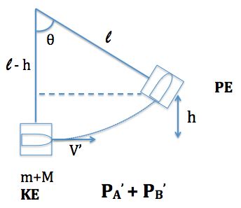 Ballistic Pendulum - Erudition