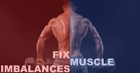 How To Correct Muscle Imbalance - Gradecontext26